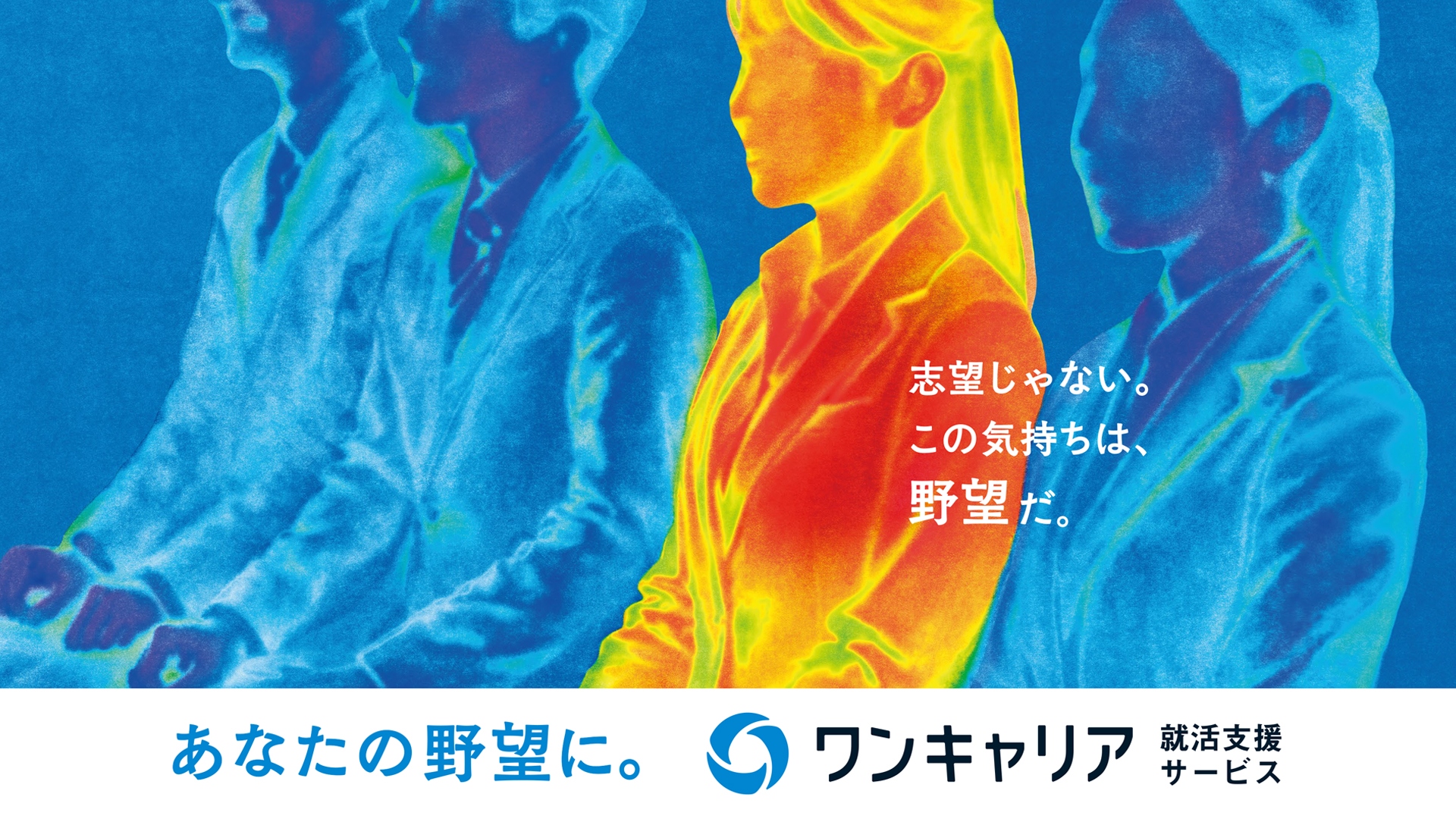 ワンキャリア